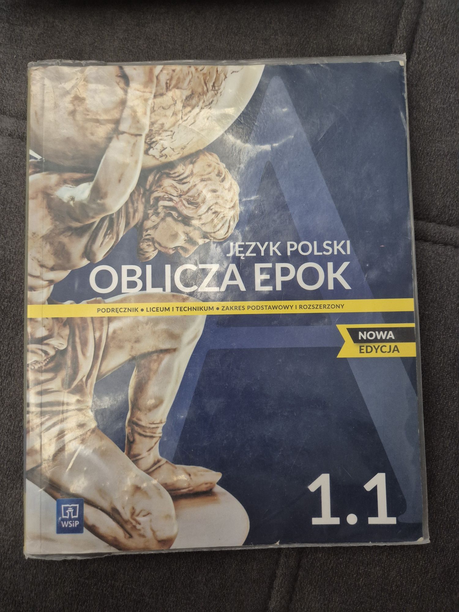 Podręcznik do języka polskiego oblicza epok 1.1