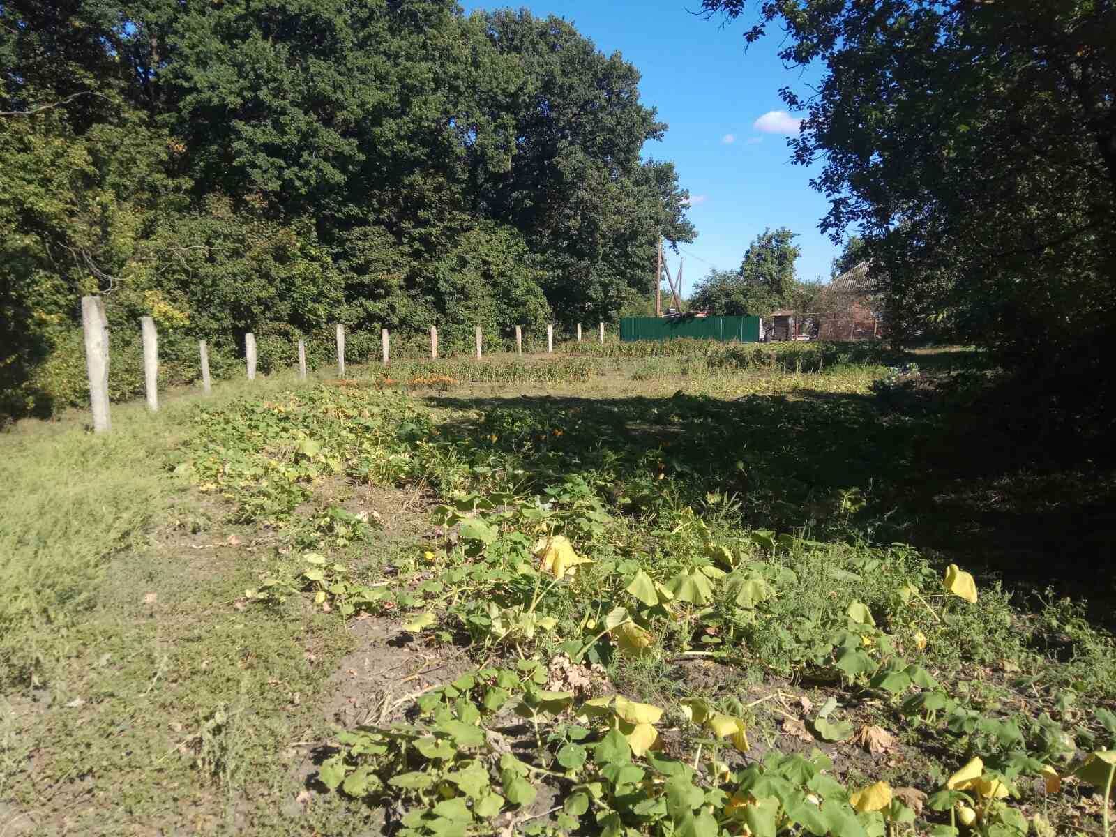 Продам дім в с. Максимівка  Богодухівського району