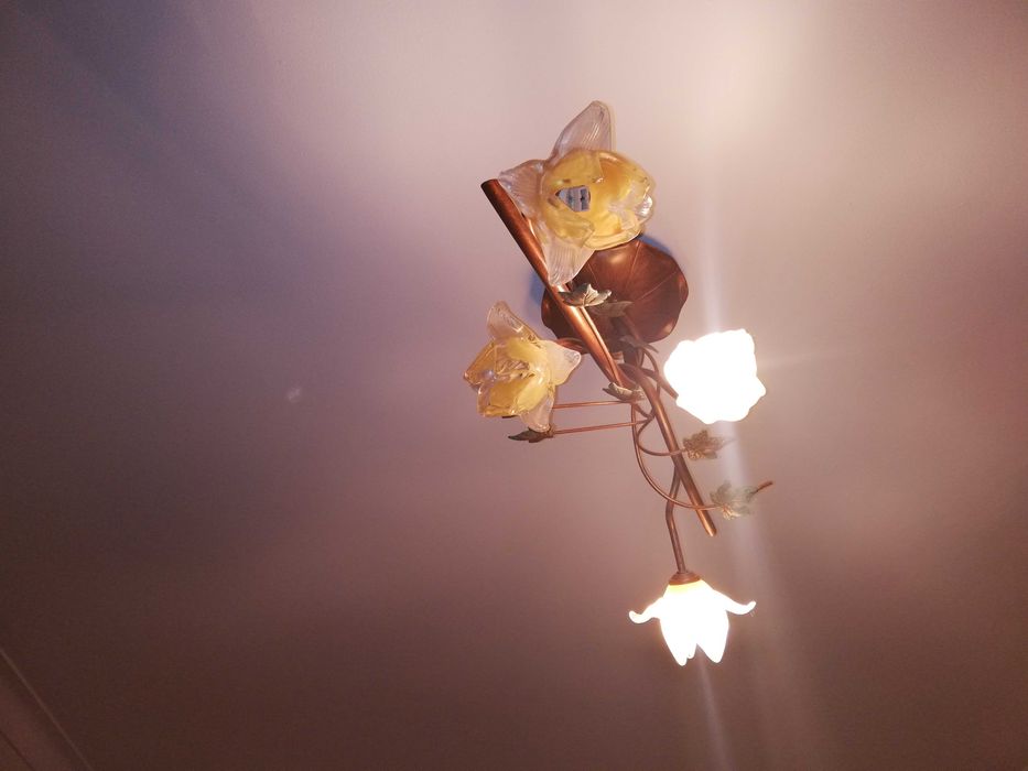 Candeeiro de Teto motivo floral muito elegante por 40€