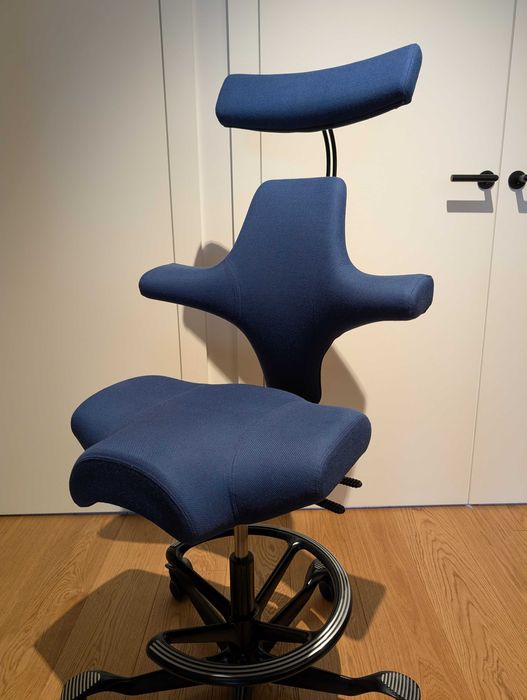 krzesło Hag Capisco