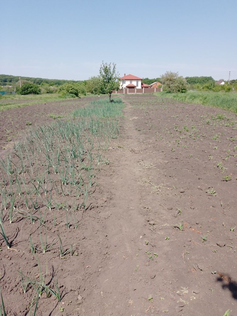 Продам земельну ділянку