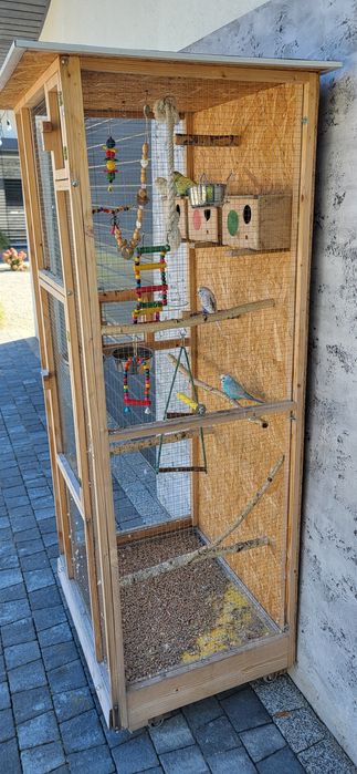 Woliera klatka + papugi faliste + wyposażenie