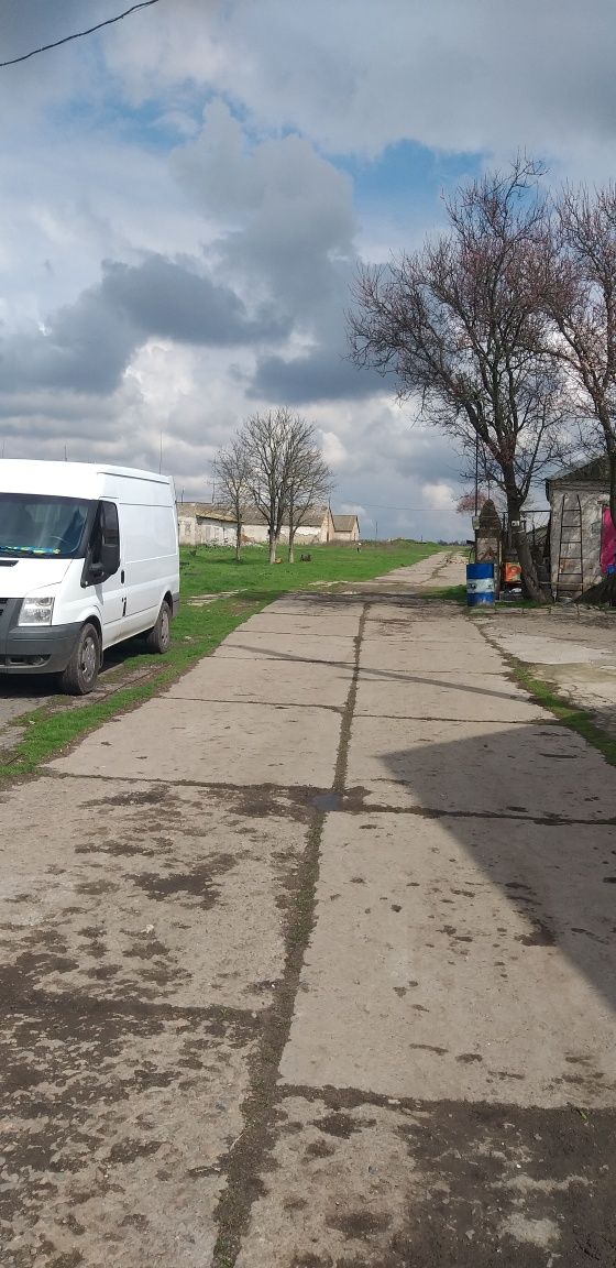 Складськи приміщеня та ферми для птиці і худоби