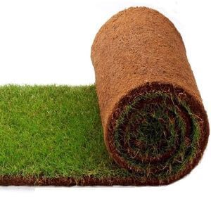 укладка рулонного газона Аерация Скарификация