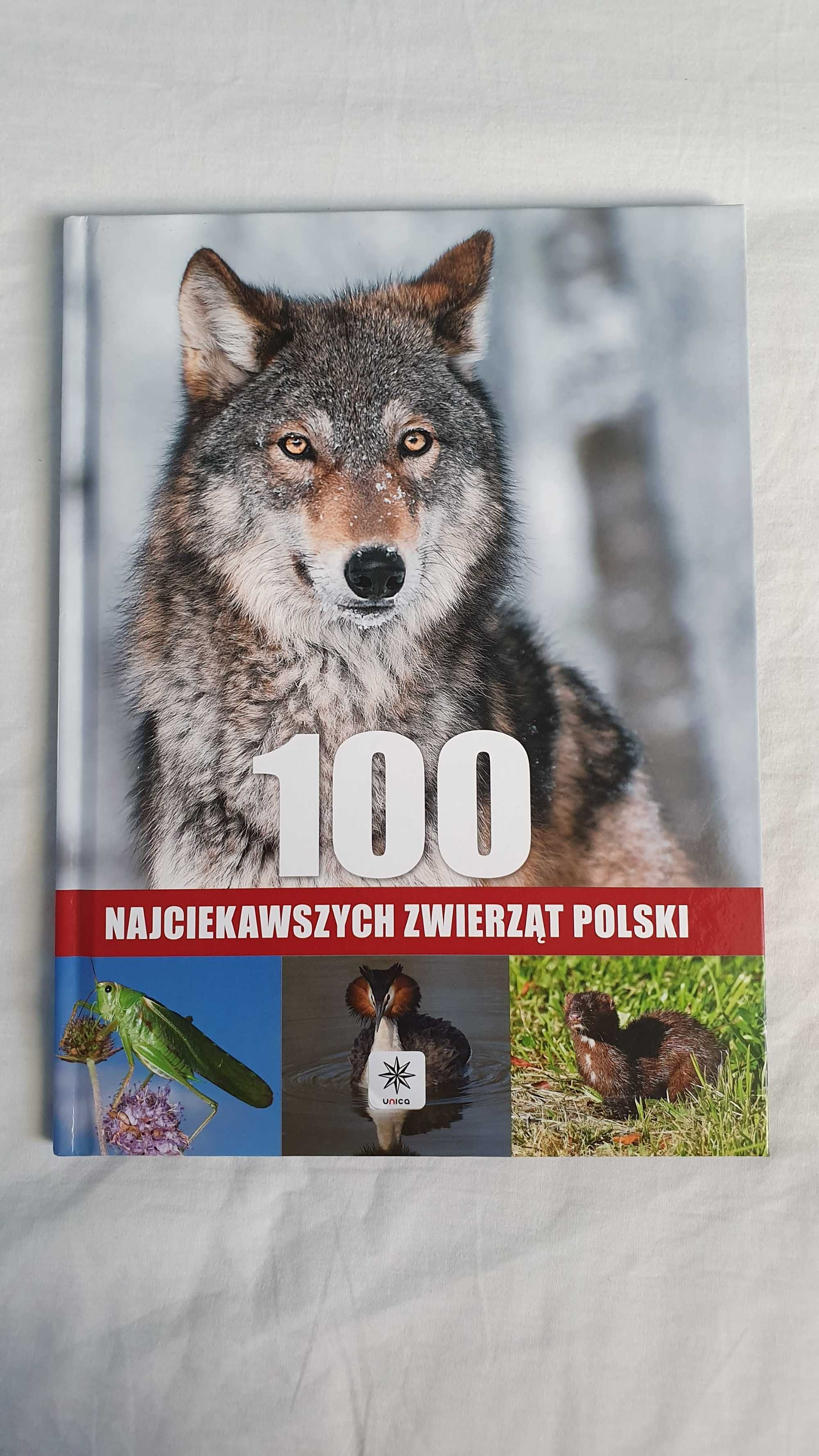 Książka dla dzieci "100 najciekawszych zwierząt Polski", Wyd. Dragon