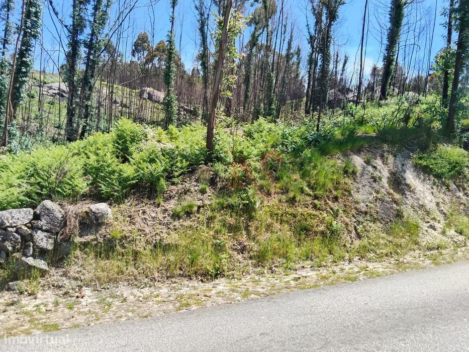 Terreno Rústico com 15.064,30 m² em Seidões, Fafe