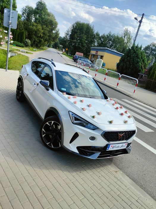 Auto do ślubu Mercedes AMG BMW X6 CUPRA  MG  Dodge SRT