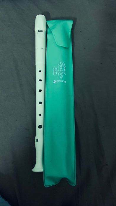 Flauta infantil com estojo – prática e econômica