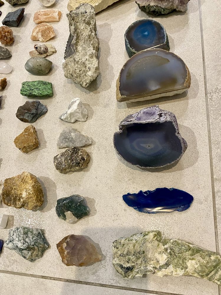Minerały i skamieliny - duża kolekcja