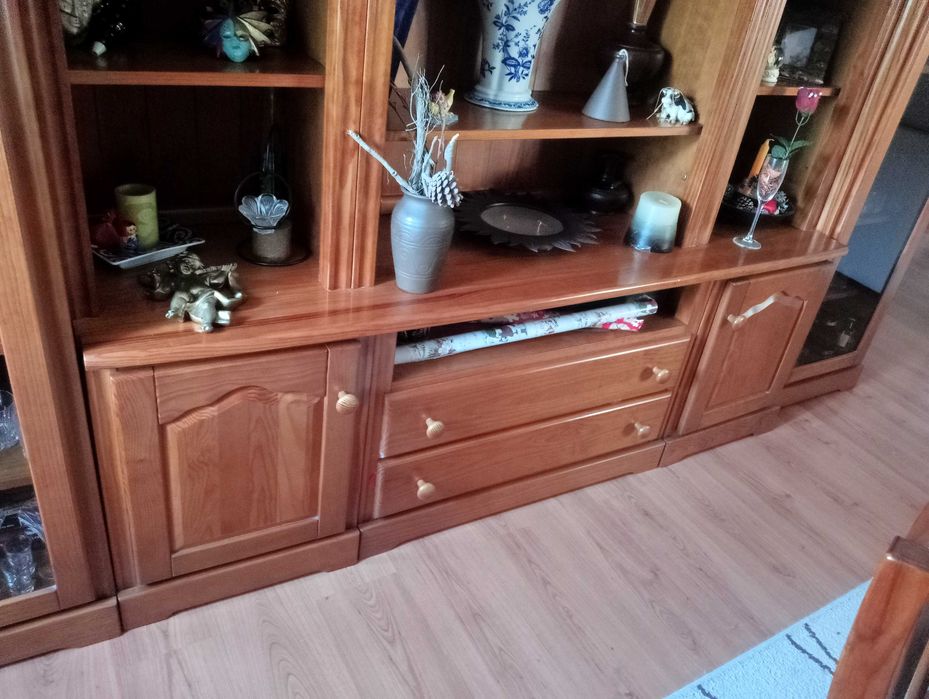 Móvel de Sala em Excelente Estado