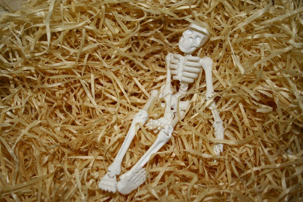 Флекс-Кістяк Антистресик