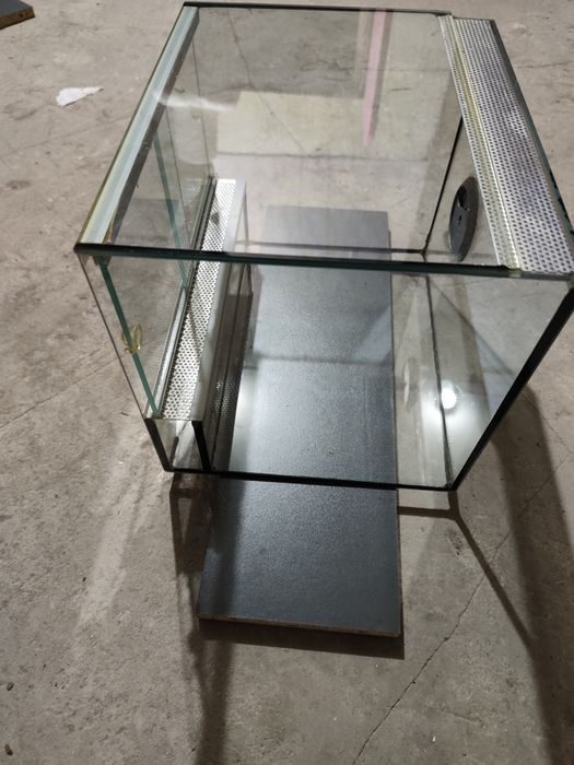 Terrarium dla pająka