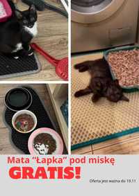 Wodoodporna mata EVA pod kuwetę dla kotów łapiąca żwirek| Czyste Łapki
