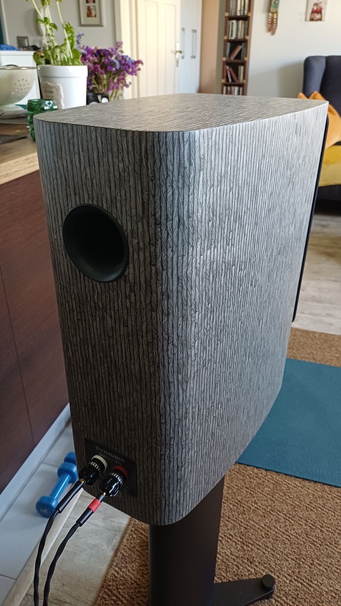 Dynaudio Contour C20i na gwarancji, highend !