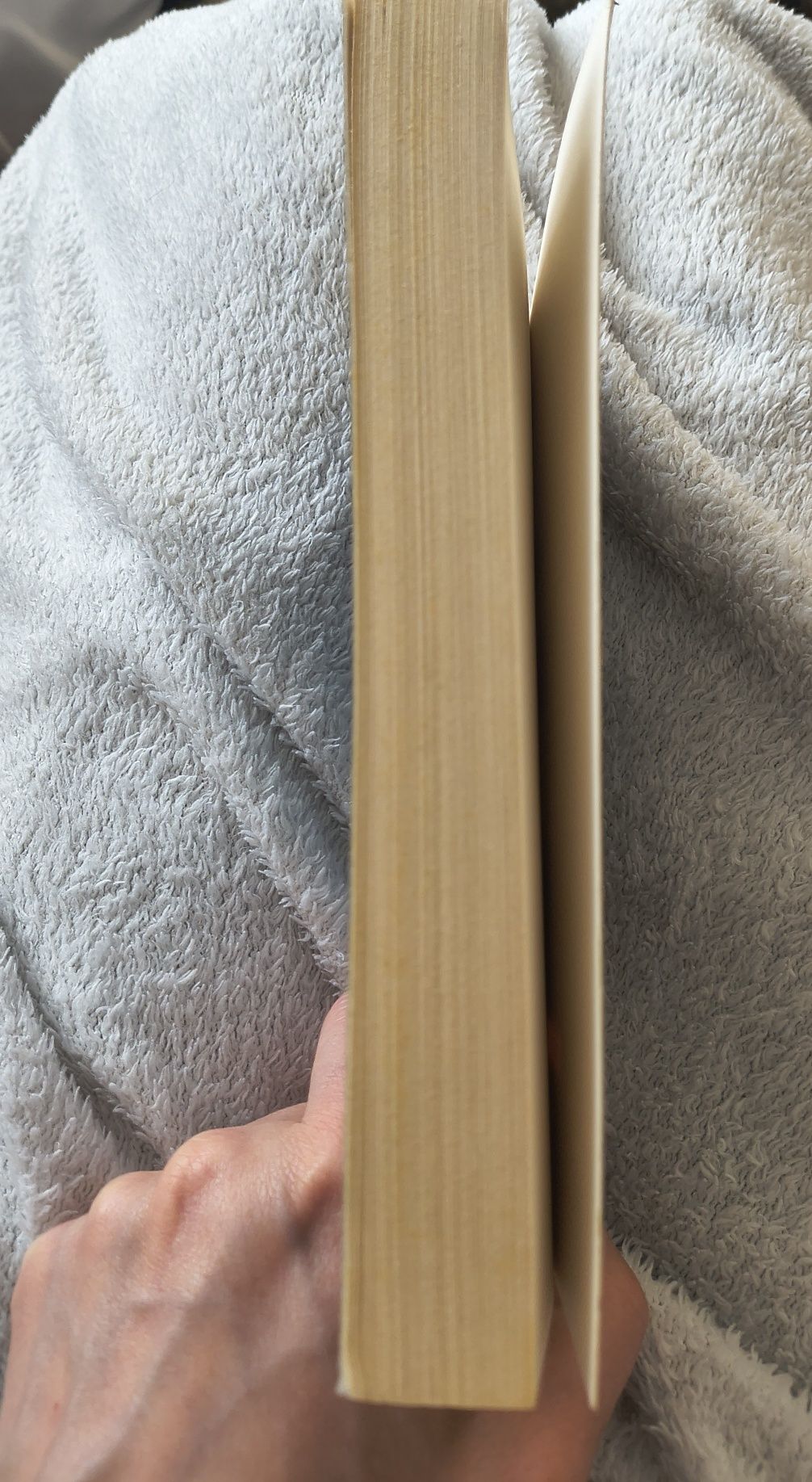 Ingrid Hedström – Nauczycielka z Villette, kryminał, miękka oprawa