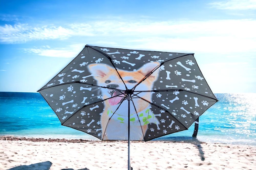 Parasolki ręczne wzór pieski i kotki