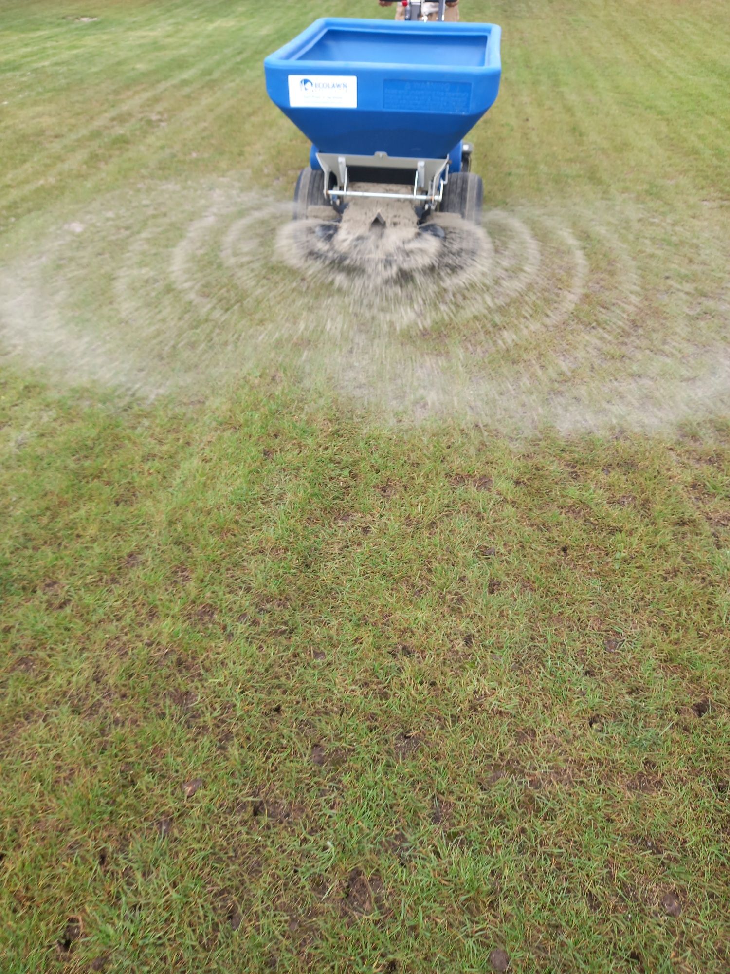 Regeneracja Aeracja trawników piaskowanie wertykulacja dosiew trawy