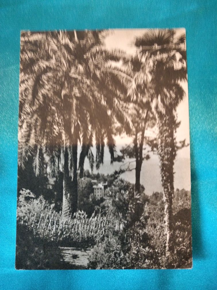 Комплект открыток 1955 года.Фото  курортов у Черного моря. 21 шт.