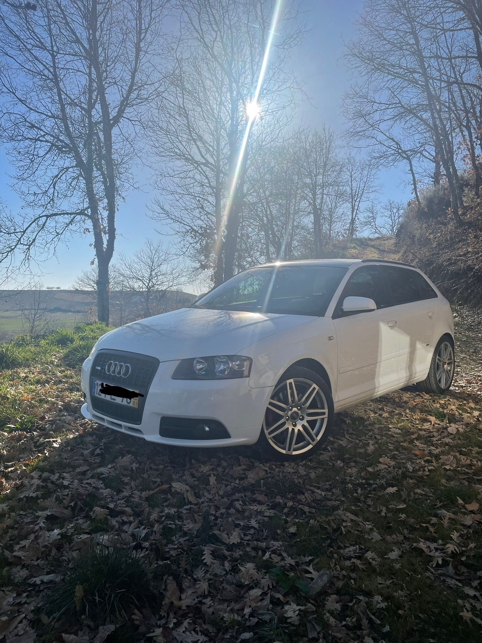 Audi a3 8p s-line