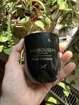 Mauboussin Elixir d’ambre świeca zapachowa perfumeryjna nowa