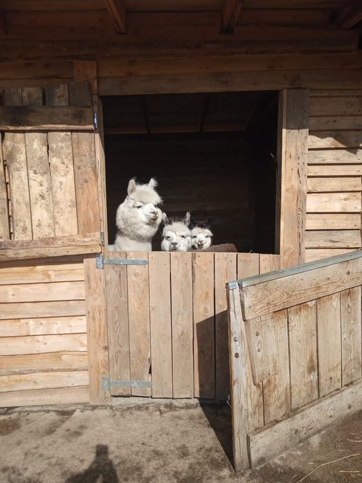 Agroturystyka KOTLINA Kłodzka , Góry Stołowe, wolne pokoje!