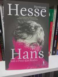"Hans" - Hermann Hesse