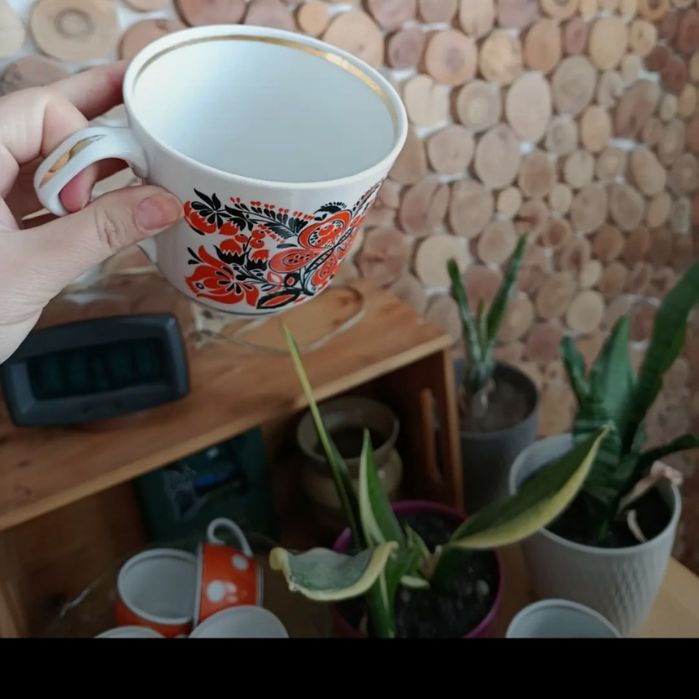 Черевики осінь 38