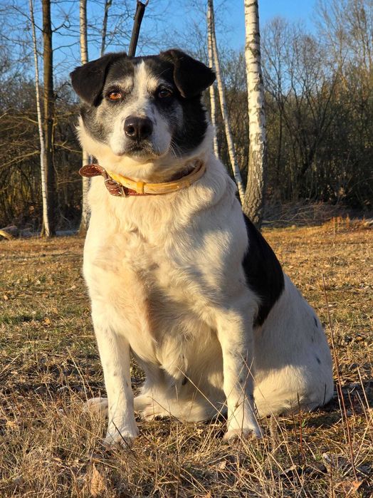 Lila - duże jest piękne