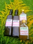 Syrop z nawłoci - nawłoć polska - syrop nawlociowy domowy