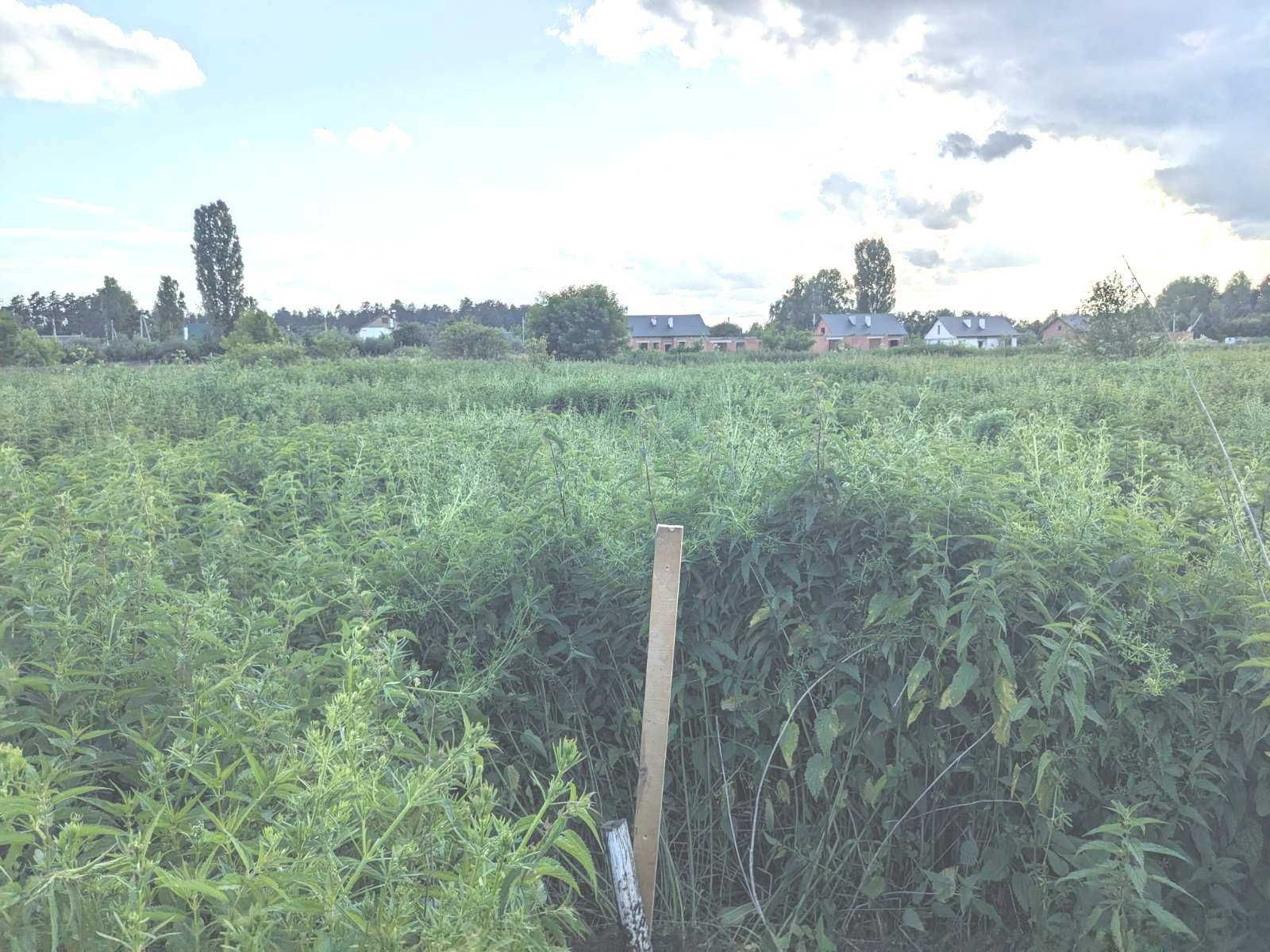 Бобриця. Продам 2 ділянки 16соток. Поруч світло, озеро.