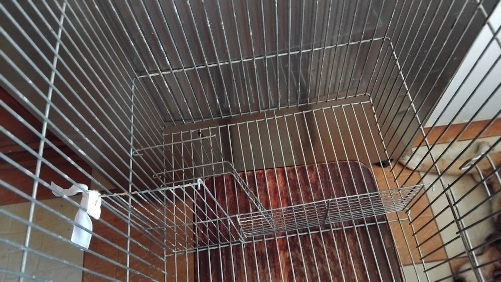 Клітка без поддону, для птахів