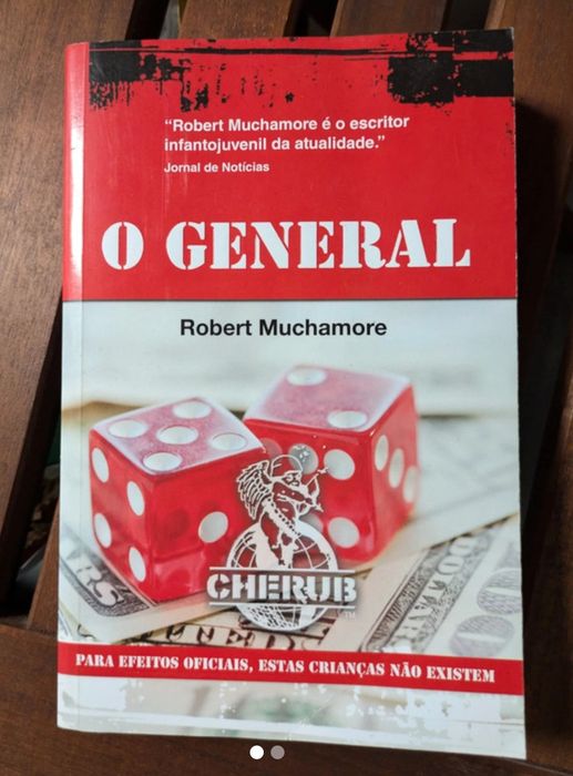 Livros juvenis impecáveis