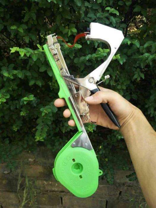 Agrafador ramos árvores de fruto