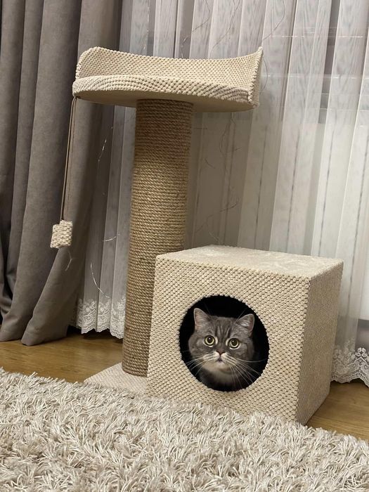 Кігтеточки та будинки для котів