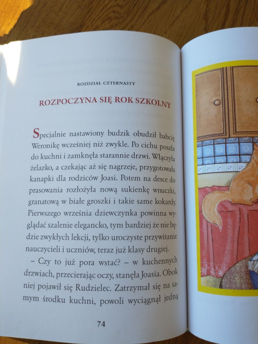 Rudzielec - Renata Opala