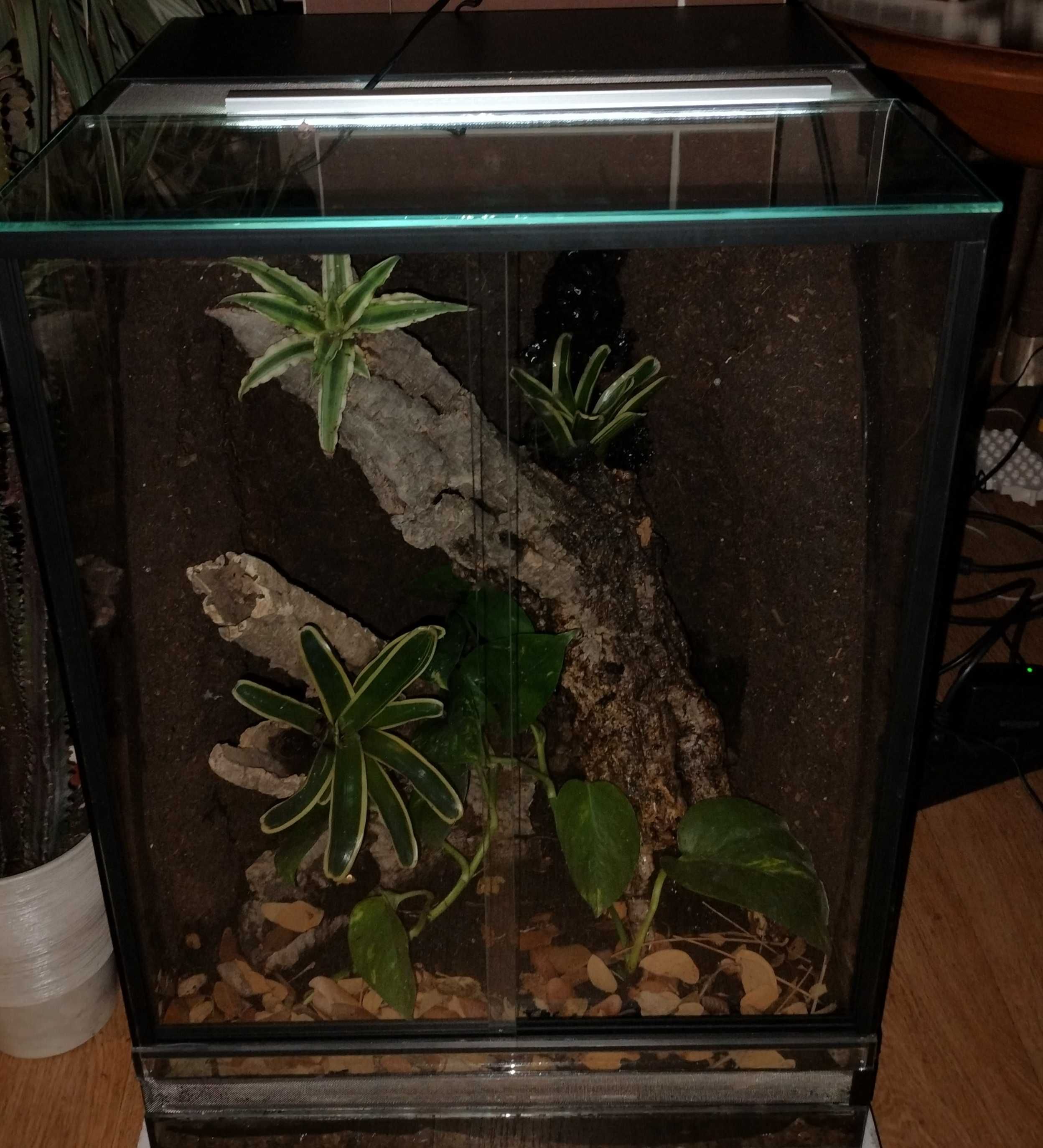 Terrarium tropikalne 40cmx40cmx60cm