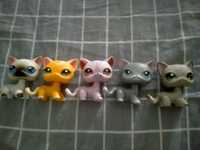 LPS koty shorthair