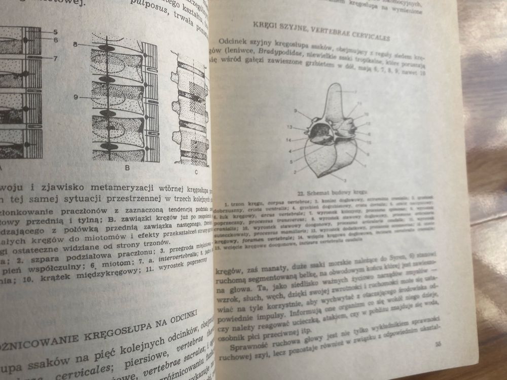 Kazimirrz Krysiak. Anatomia zwierząt tom 1 część 1,2,3