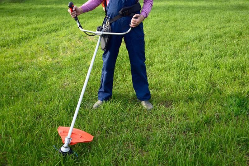 Покіс трави, зрізання дерев покос трави викос трави