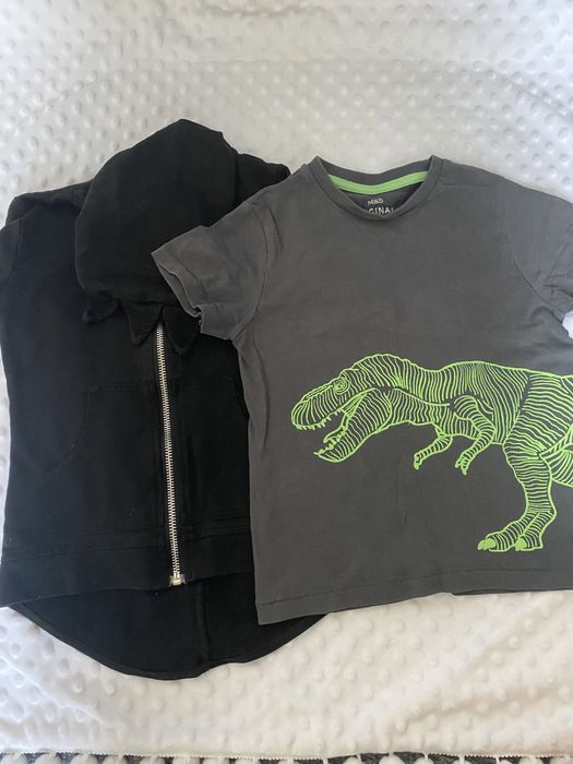 Кофта динозаврик, футболка динозаврик