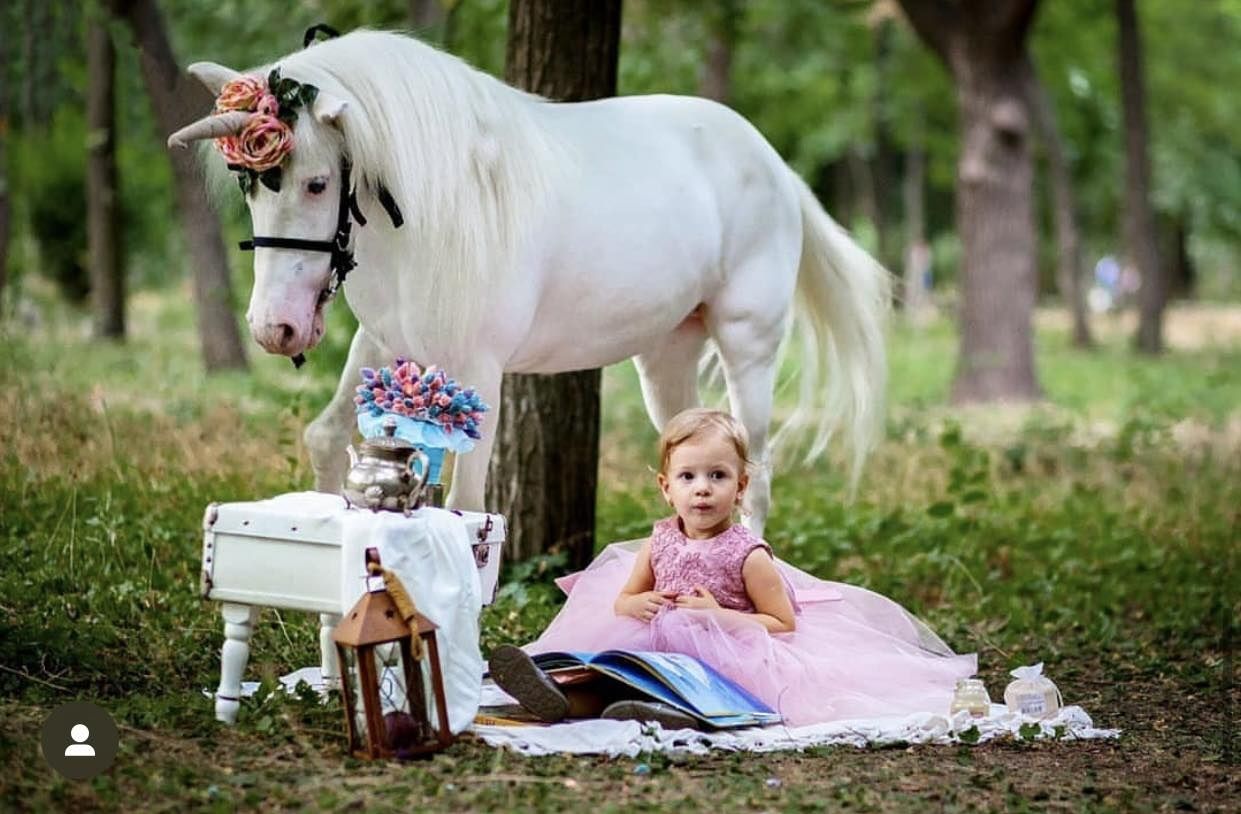 Шикарные пони на День Рожденье!Фотосессии.