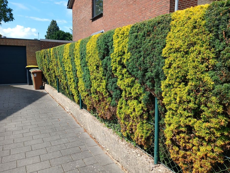 Садовник  покос газона