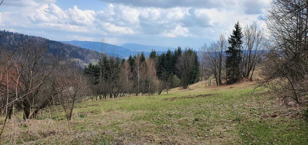 Widokowe działki budowlane w Bogdanówce. Tokarnia powiat Myślenice