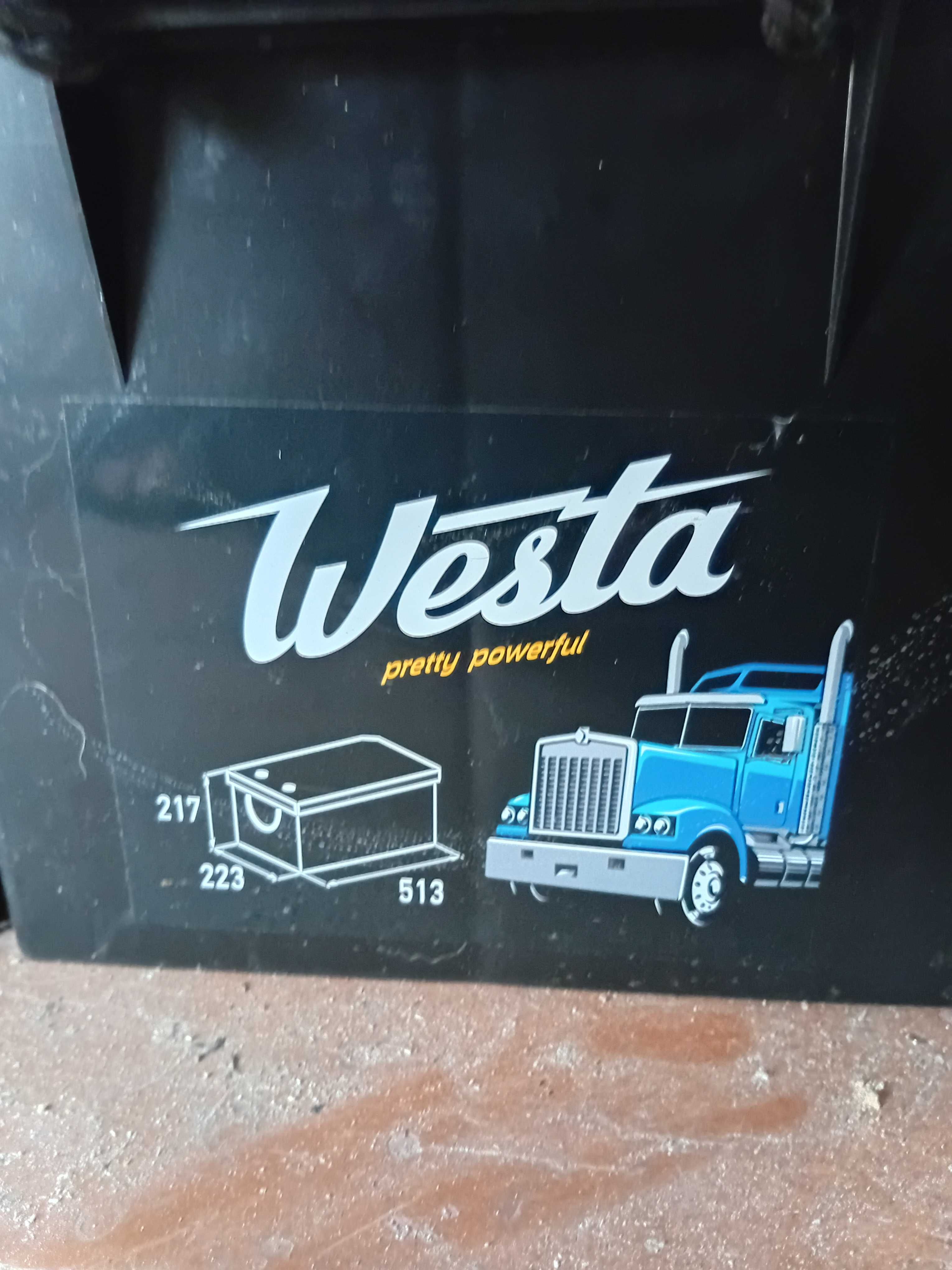 Продам аккумуляторы WESTA Pretty Powerful 6CT-200Ah