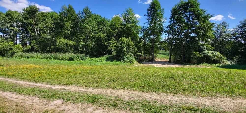 3000 m2 Działka nad jeziorem z wlasna linią brzegową.