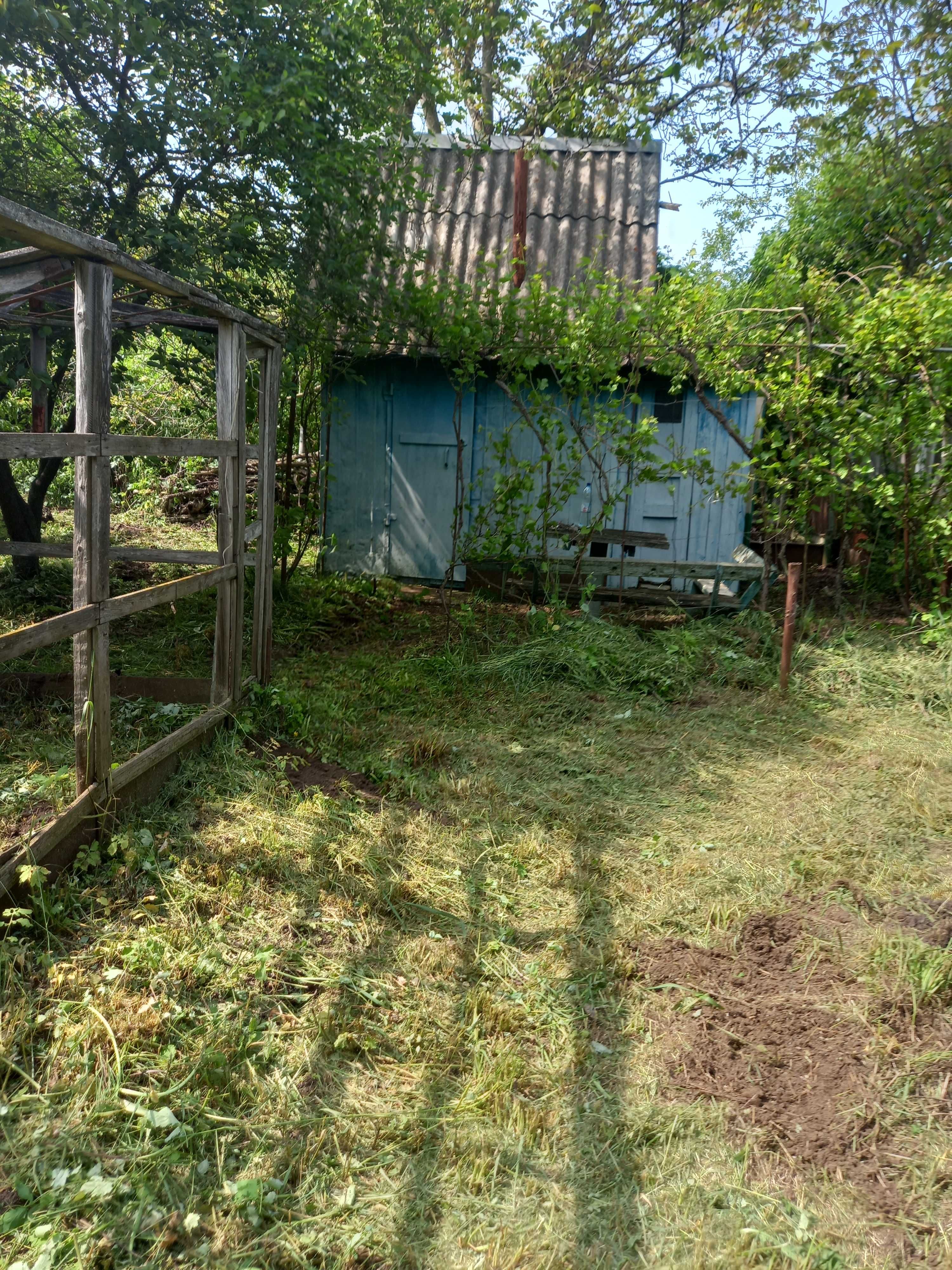 Продам дачну ділянку з невеличкою хатинкою в кооперативі Прогресс.
