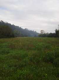 Terreno para Agricultura