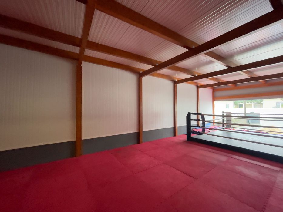 Lote de tatamis em muito bom estado