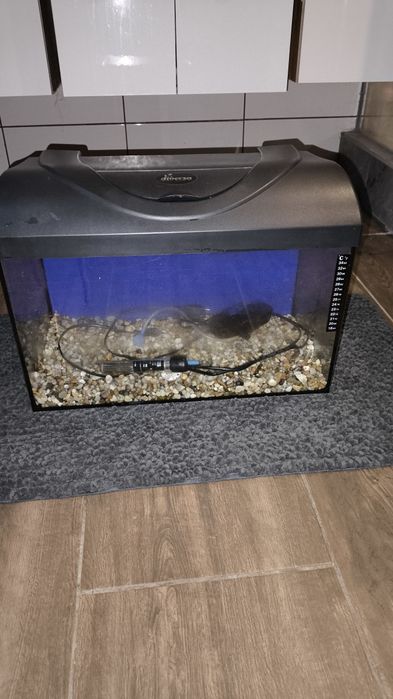 akwarium 40l 50x25x30