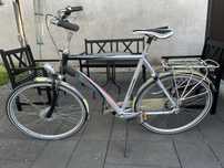 Rower meski Batavus Allegro